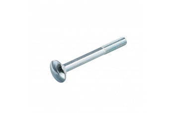 PROFTEC SLOTBOUT MET MOER VERZINKT M6X70MM (50 ST.)