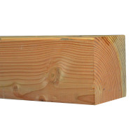 DOUGLAS 120 X 120 MM GESCHAAFD PAAL 300 CM GEDROOGD 70% PEFC