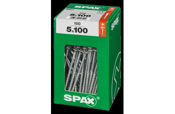 SPAX SPAANPLAATSCHROEF 5X100 MM DEELDRAAD VZ PK TORX T20 DOOS 100 ST.