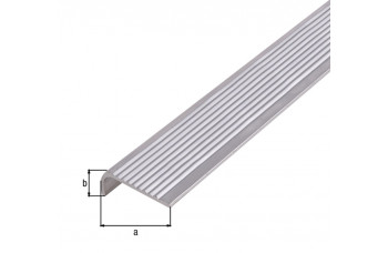 TRAPBESCH.LIJST,ALU,NATUUR,25X6X2/1