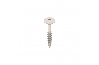 TORX SCHROEF 32MM RVS V2A CREME DOOS 100 ST
