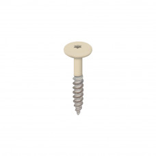 TORX SCHROEF 32MM RVS V2A LICHT IVOOR DOOS 100 ST