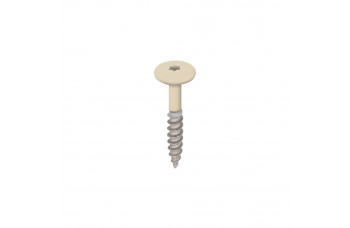 TORX SCHROEF 32MM RVS V2A LICHT IVOOR DOOS 100 ST